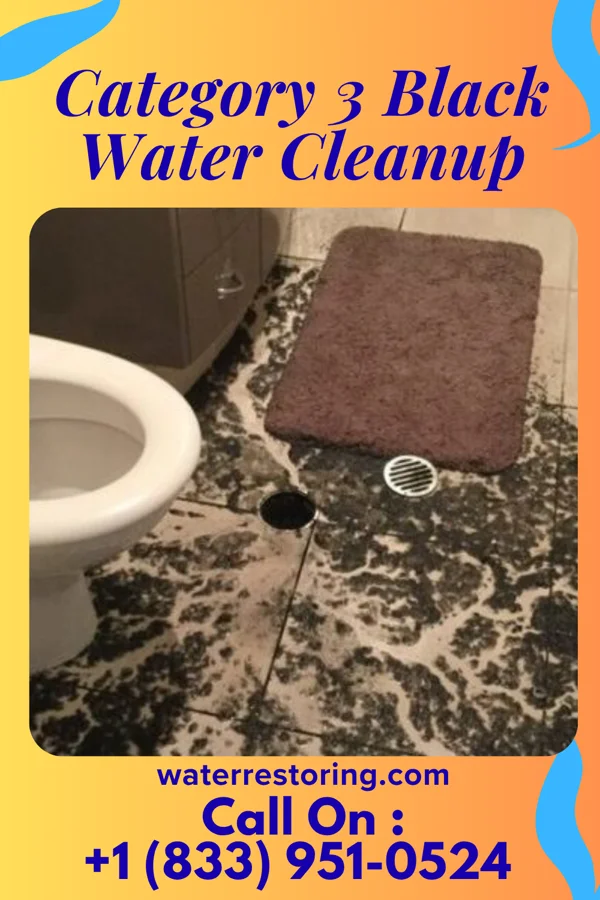 Category 3 Black Water Cleanup in Edenton, NC
