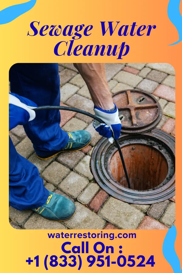Sewage Water Cleanup in Edenton, NC