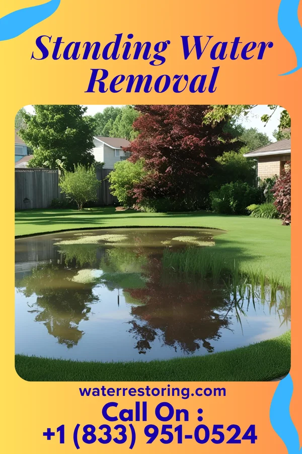 Standing Water Removal in Edenton, NC